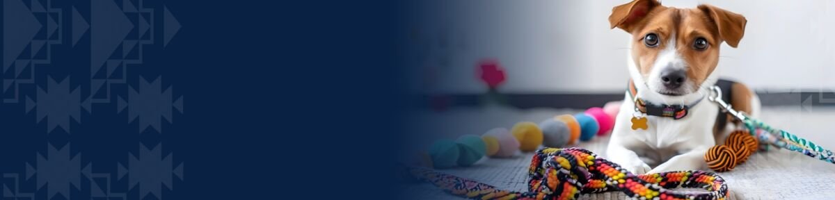 banner mascotas grande